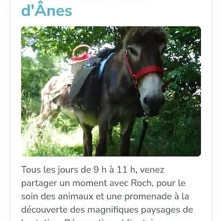 公寓 Duplex Au Coeur De La Station